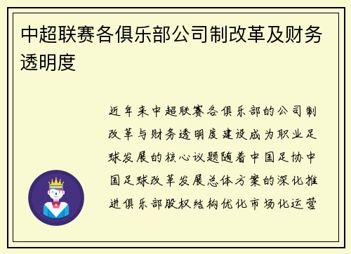 中超联赛各俱乐部公司制改革及财务透明度